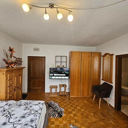 Apartment Aleks Бад-Кляйнкірхгайм Екстер'єр фото