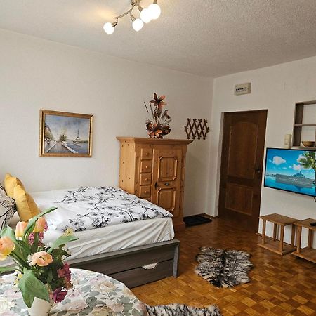 Apartment Aleks Бад-Кляйнкірхгайм Екстер'єр фото